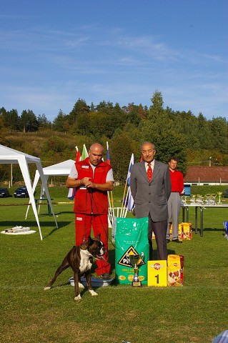 www.boxer-show.eu